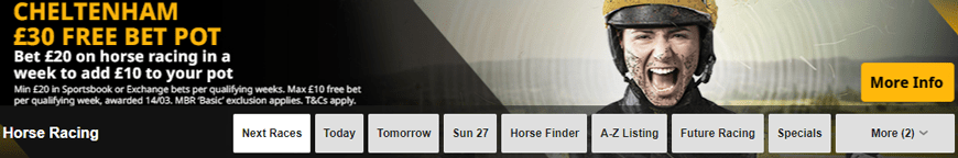 Betfair Sports Book Horse Racing